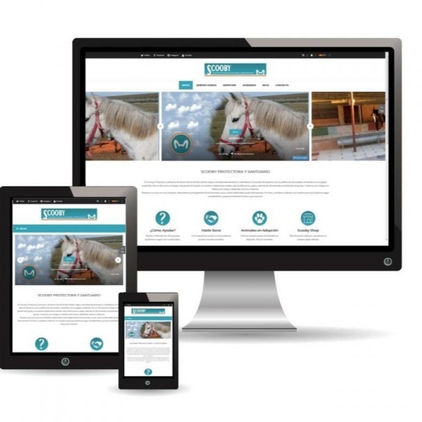 Web Corporativa